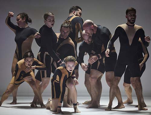 A group of dancers wearing black and gold outfits performing together on stage.